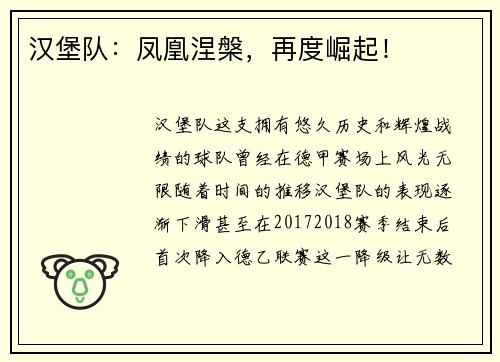 汉堡队：凤凰涅槃，再度崛起！